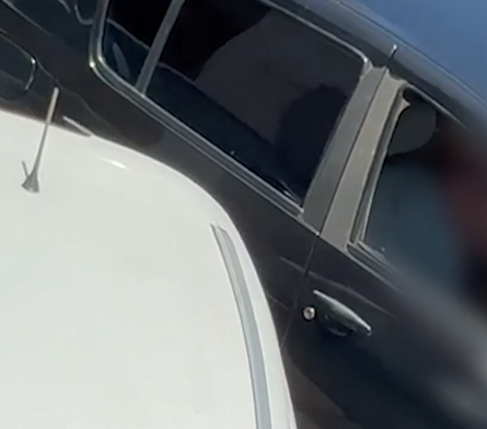 Vídeo flagra tarado se masturbando na rua, enquanto observa mulheres