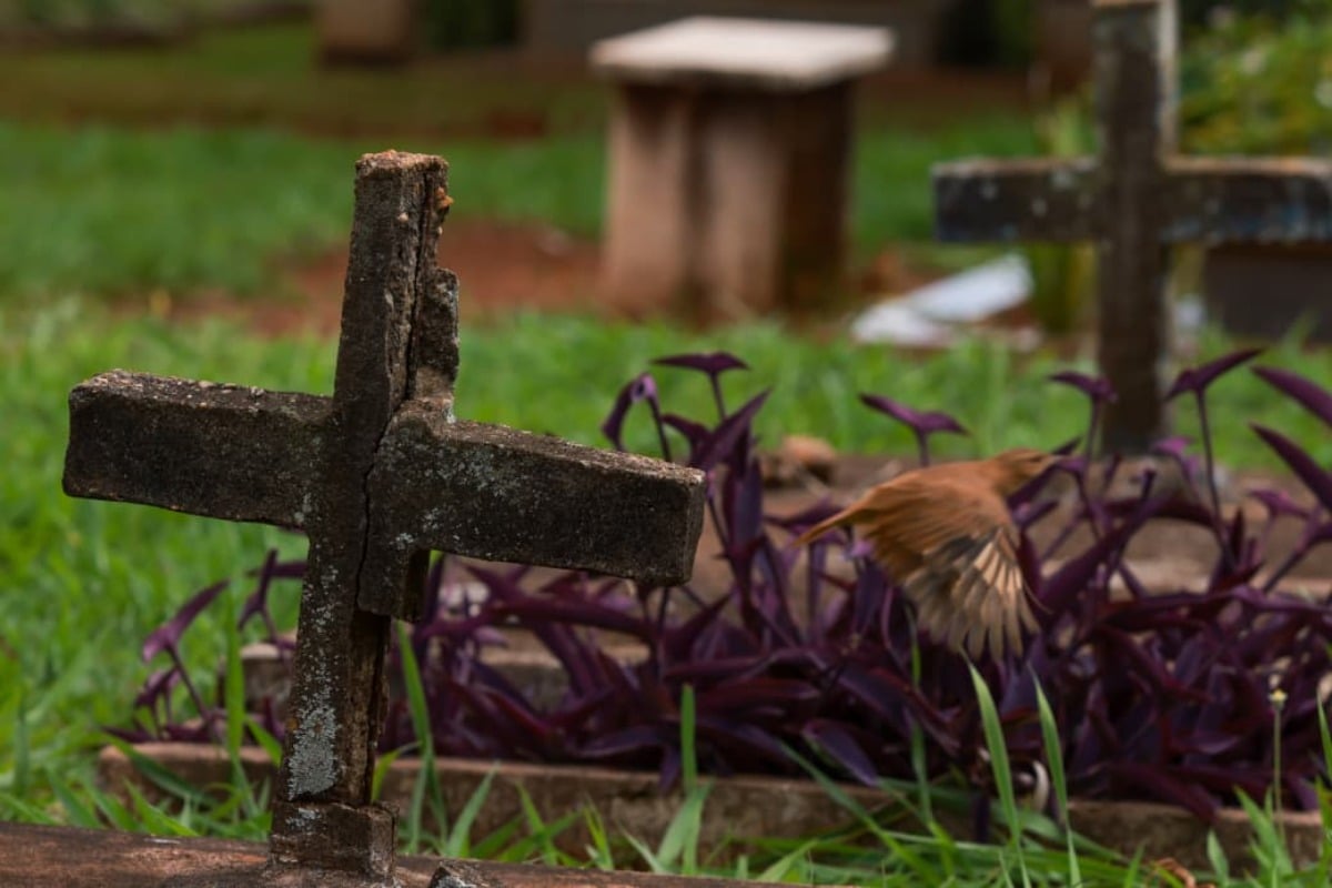 Descaso e abandono: cemitérios do DF têm 200 mil túmulos “esquecidos”