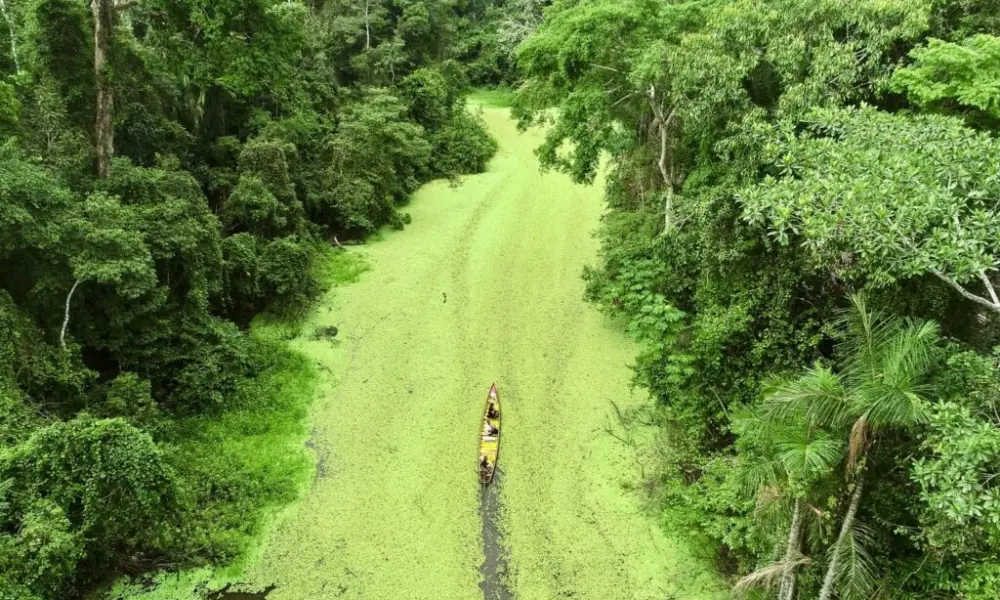 Governo do Acre cria sistema integrado para gestão ambiental e enfrentamento às mudanças climáticas