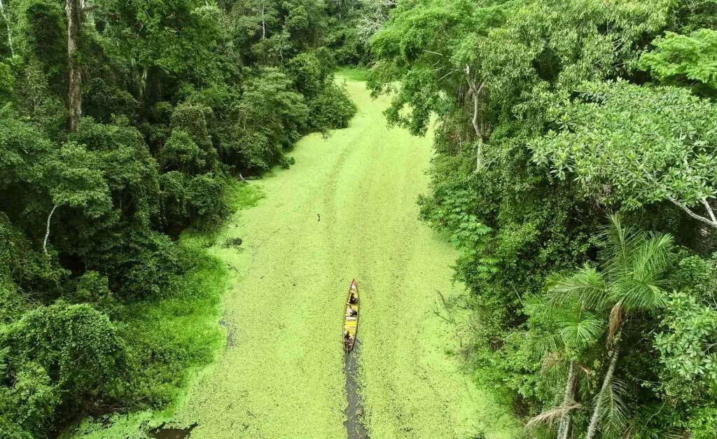 Lei cria centro de monitoramento ambiental no Acre