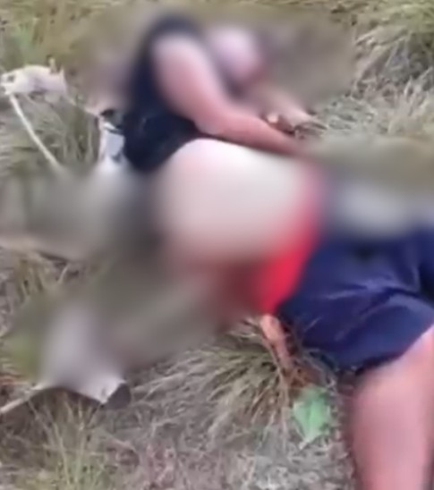 Possível estuprador, homem é encontrado torturado e com cabo de vassoura no ânus em área de mata de Pernambuco