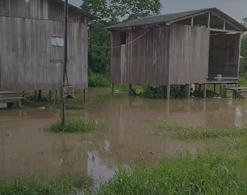 Enchente atinge casas em Santa Rosa do Purus, mas rio começa a dar sinais de vazante