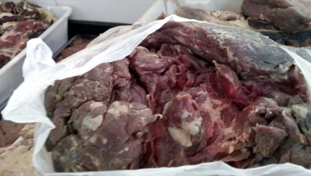 Comunidade rural relata prejuízos após quedas de energia no período chuvoso