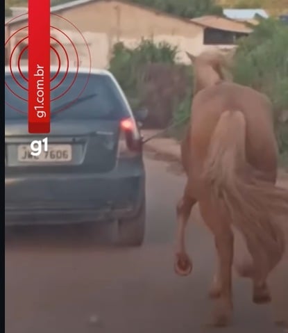 Vídeo mostra cavalo sendo puxado por carro em via urbana e gera indignação nas redes sociais