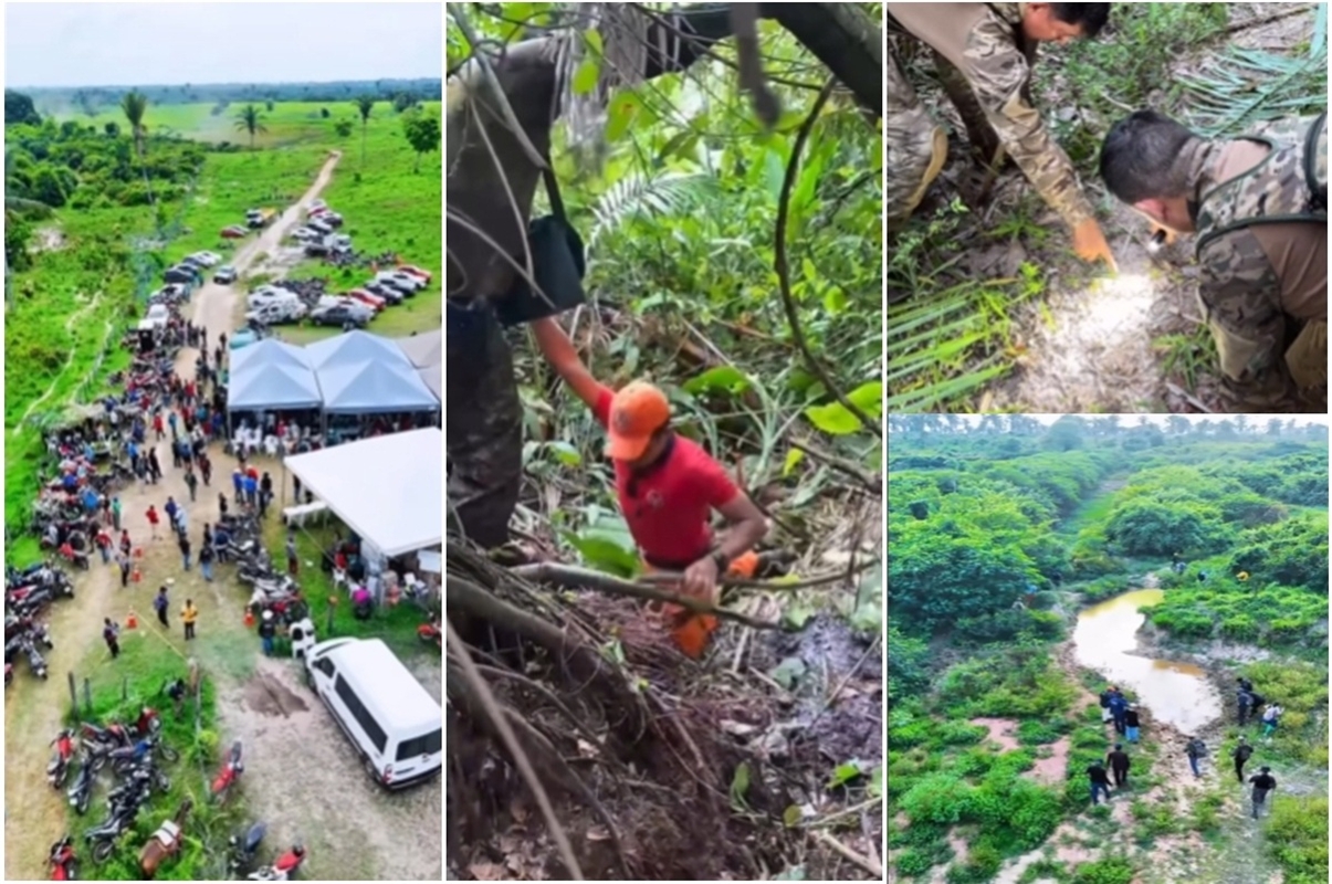 Bacabal: cadela dos bombeiros morre em buscas a crianças desaparecidas