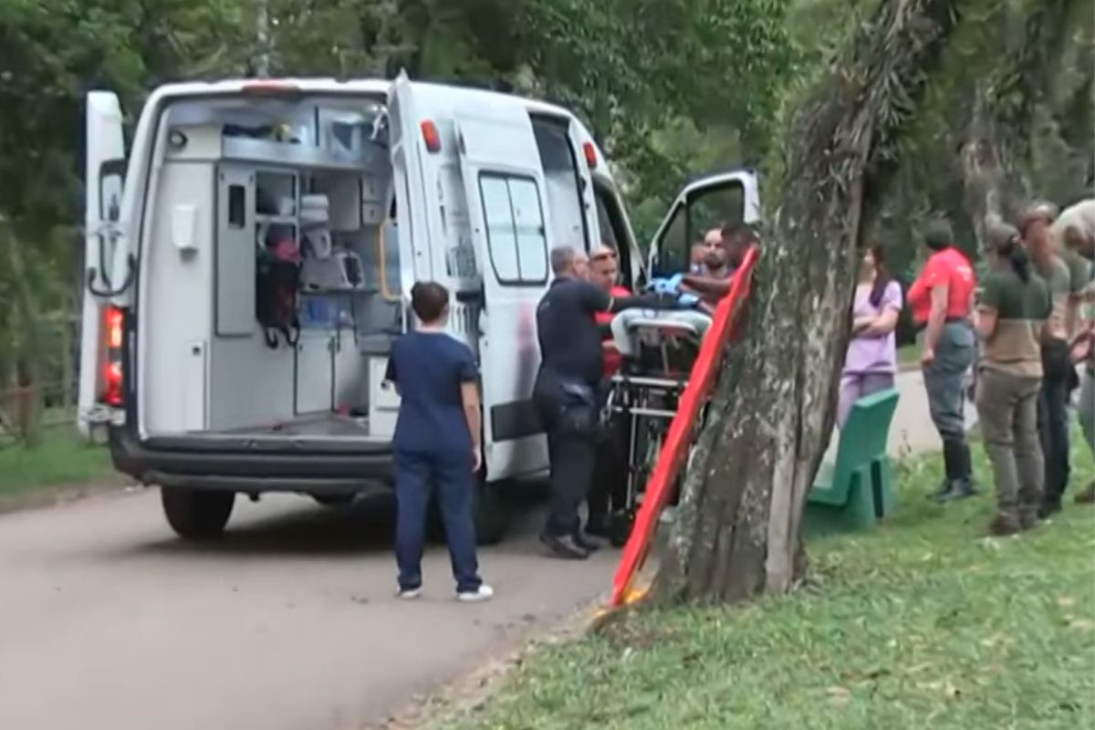 Mulher ferida no Ibirapuera tem alta e árvore começa a ser removida