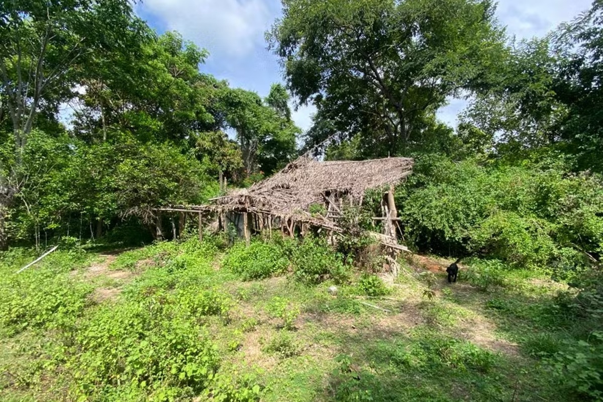 Bacabal: saiba como polícia achou a "casa caída" onde crianças dormiram