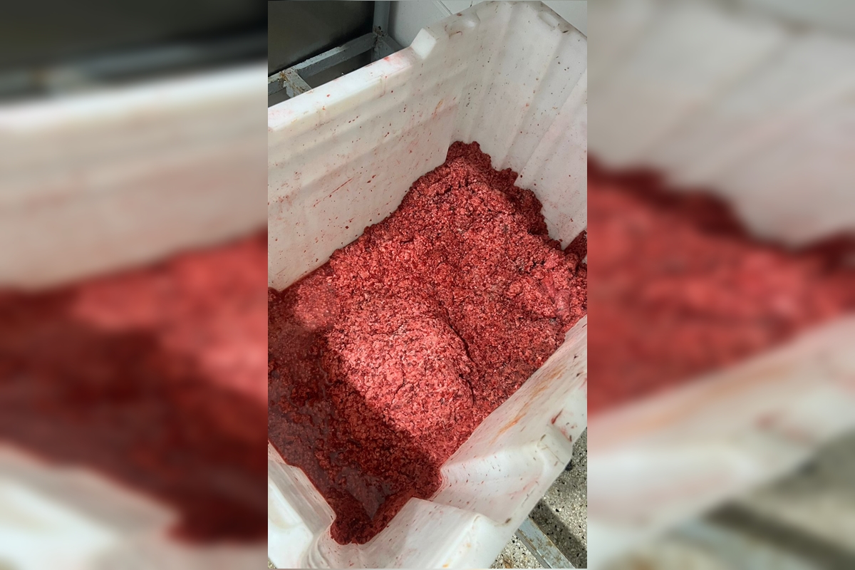 “Espetinho colorido”: carne com corante é apreendida em fábrica clandestina