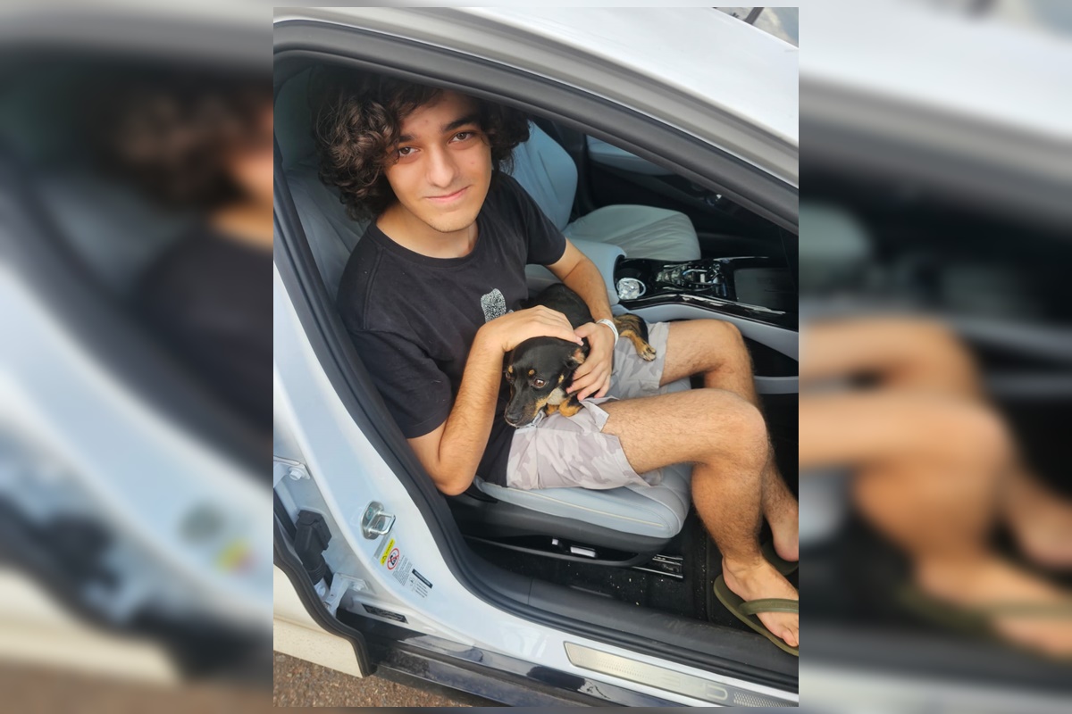 Cadelinha que fugiu assustada com fogos é encontrada pela PMDF