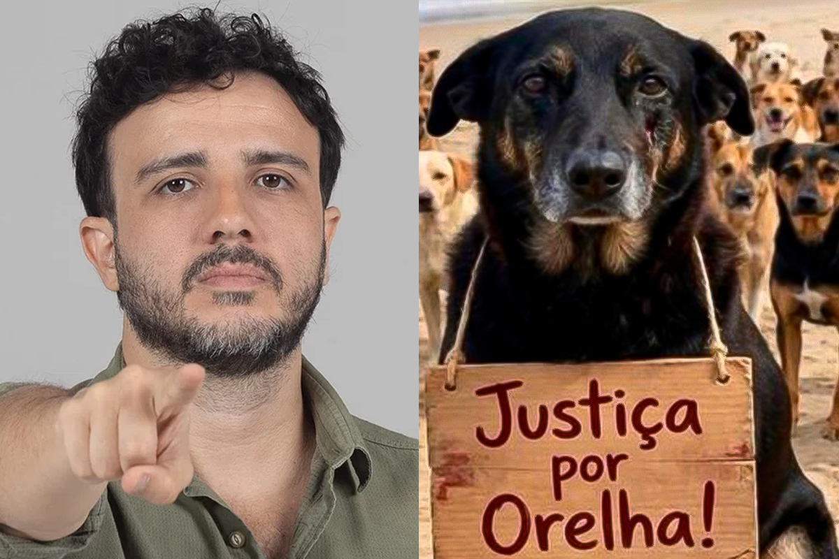 Pré-candidato ao Planalto, Renan Santos aciona MP por morte de Orelha