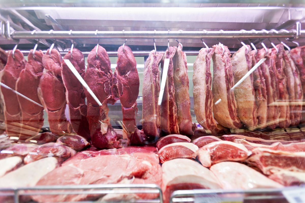 A campeã das proteínas: a carne ideal para ganhar massa magra
