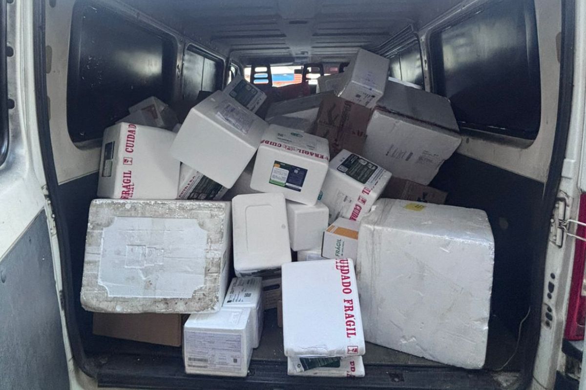 Em fuga, ladrões abandonam carga milionária com remédios e PM recupera