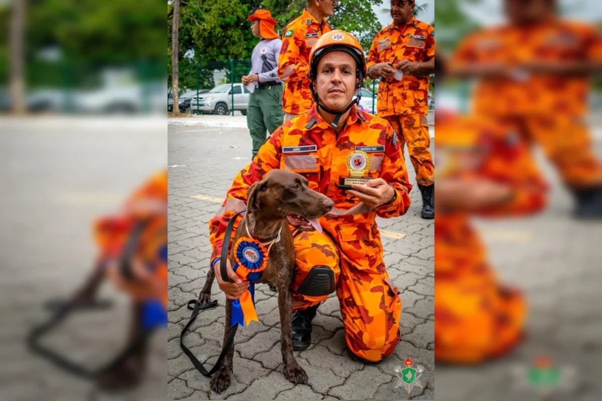 Cadela dos bombeiros morreu "nos braços de seu condutor" em Bacabal