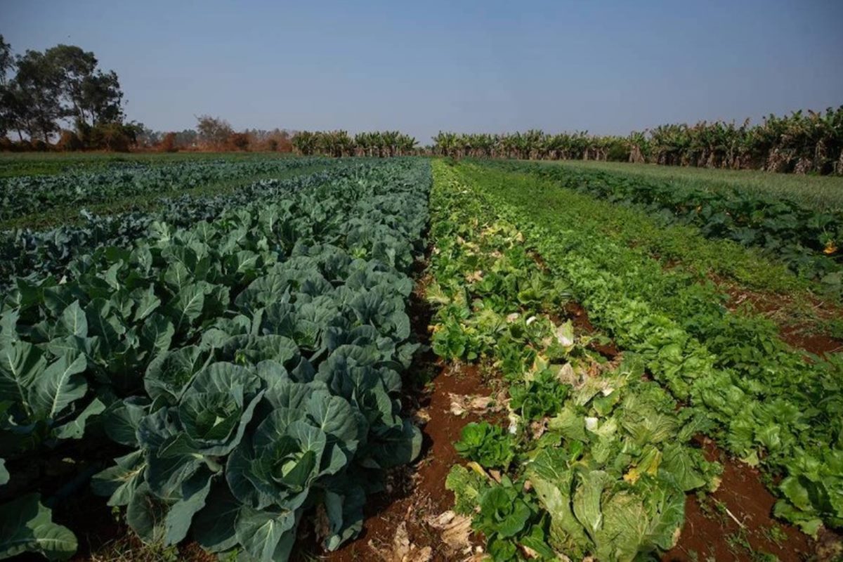 Governo federal aprova criação do assentamento Oscar Niemeyer no DF