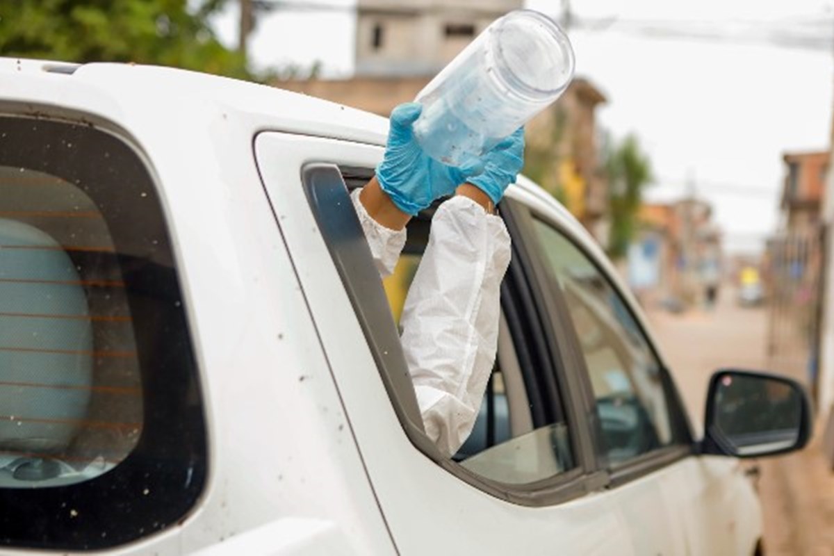 13 milhões de "mosquitos amigos" são soltos no DF para conter a dengue