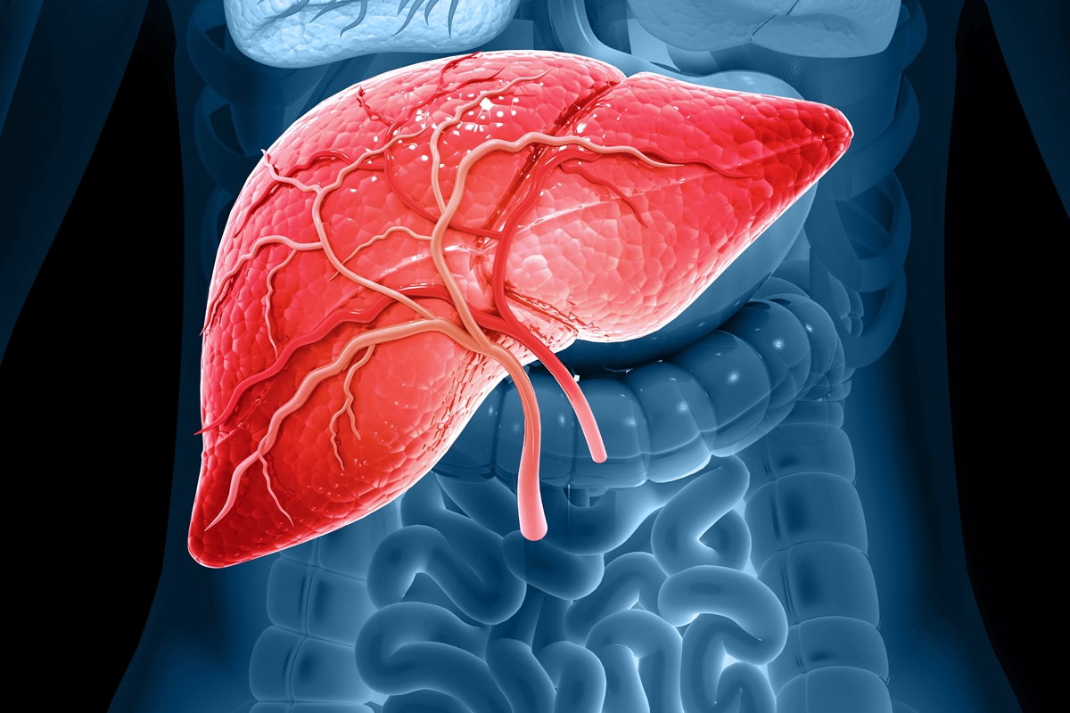 Hepatologista revela o que fazer para evitar o colapso do fígado