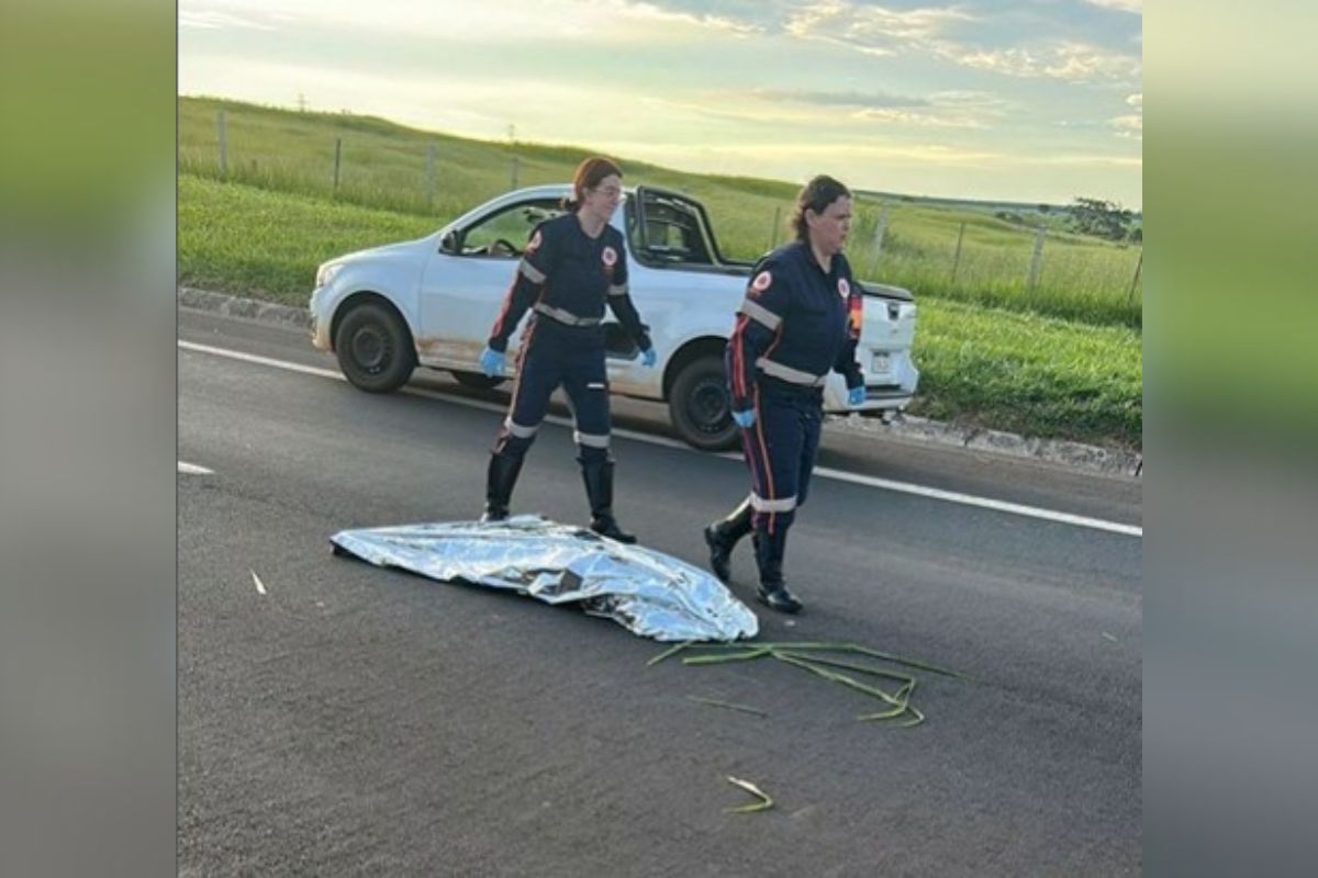 Cremesp investiga conduta de médica que atestou morte por engano