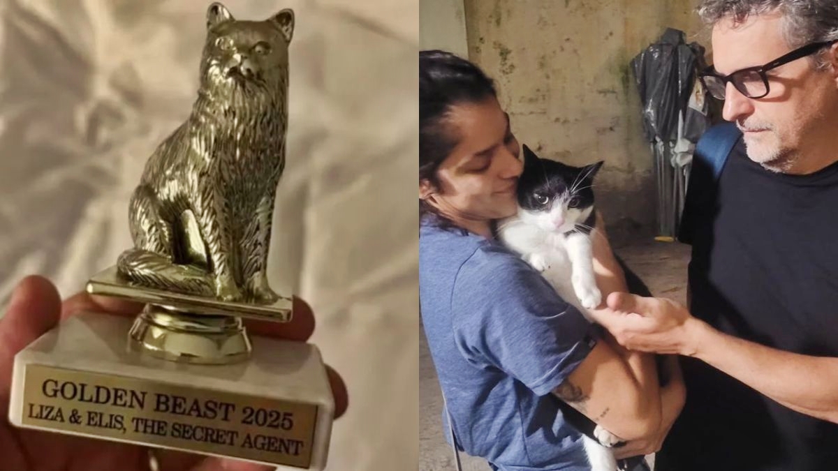 Além de Wagner Moura, gata de O Agente Secreto também venceu prêmio