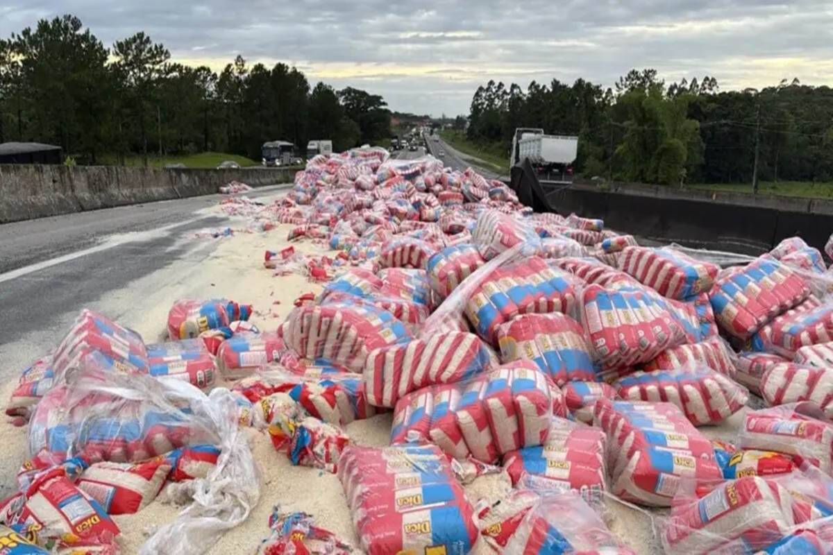 SC: caminhão com arroz tomba, interdita pista e causa filas na BR-101