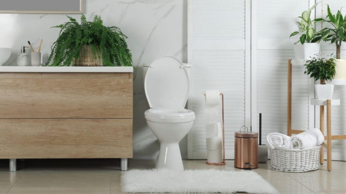 10 plantas que resistem à umidade do banheiro e deixam o cômodo lindo