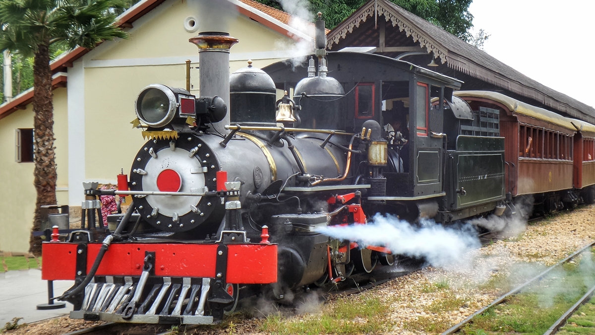 Que tal turistar de um jeito diferente? Viaje de trem pelo Brasil