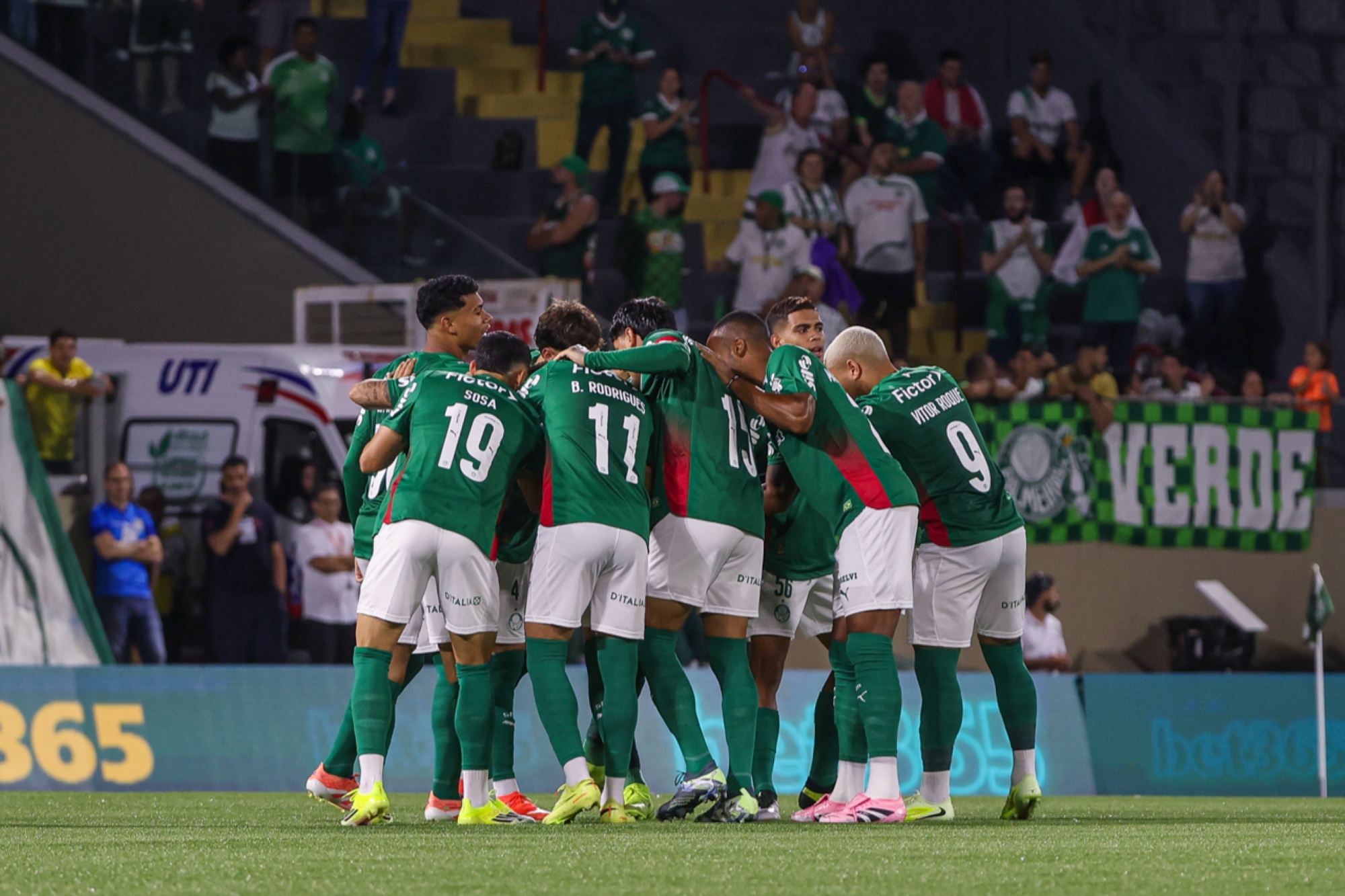 Novorizontino x Palmeiras: saiba onde assistir ao jogo do Paulistão