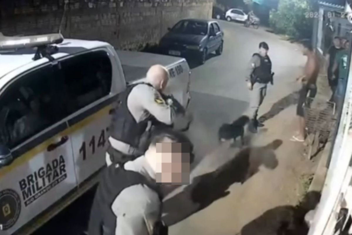 Após cão Orelha, cachorro comunitário é baleado por PM no RS