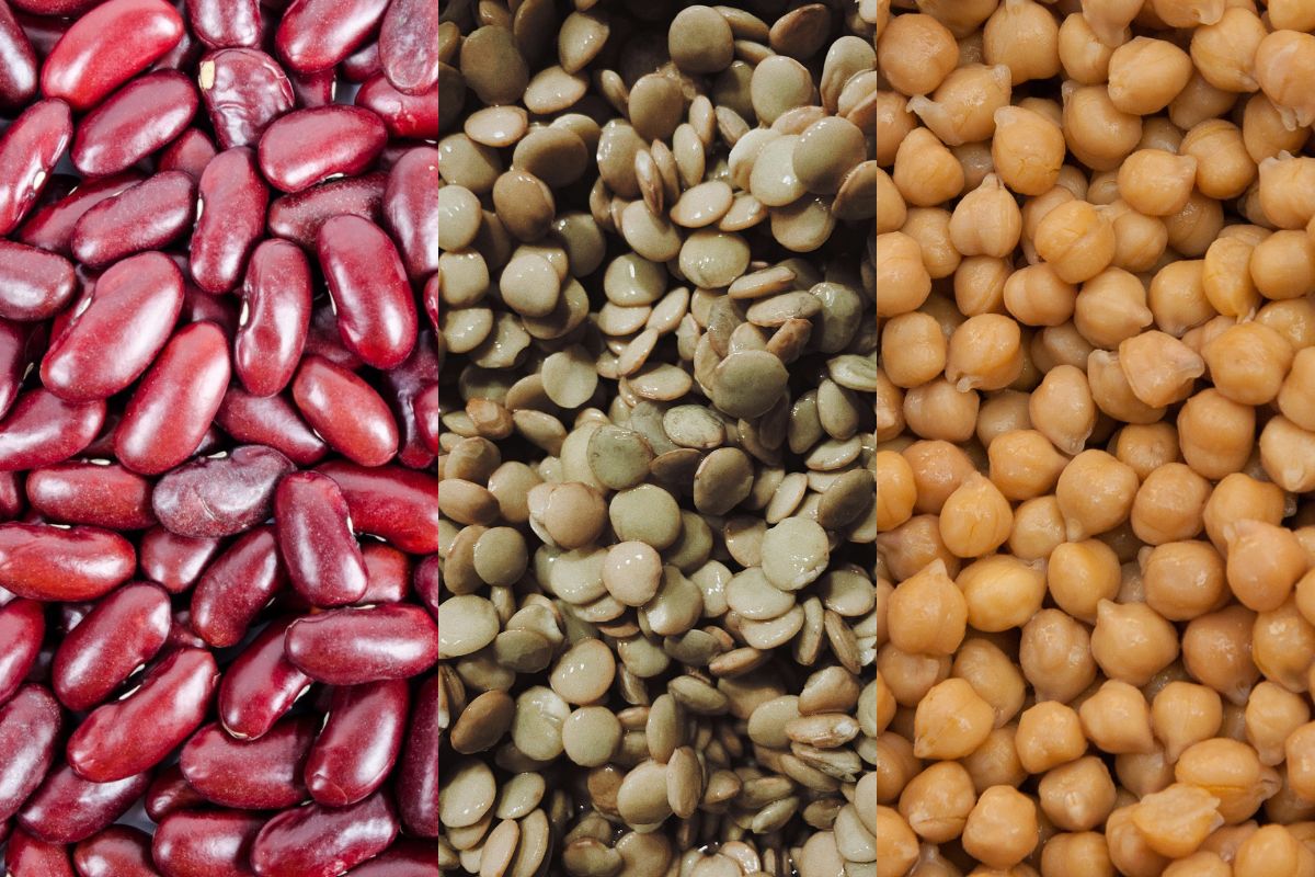 Médica revela alimento que controla o peso, o colesterol e a glicemia