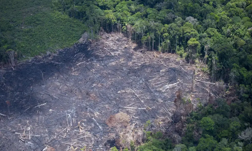 Investigado gastou R$ 3 milhões para desmatar terras do Incra em Cruzeiro do Sul, diz PF