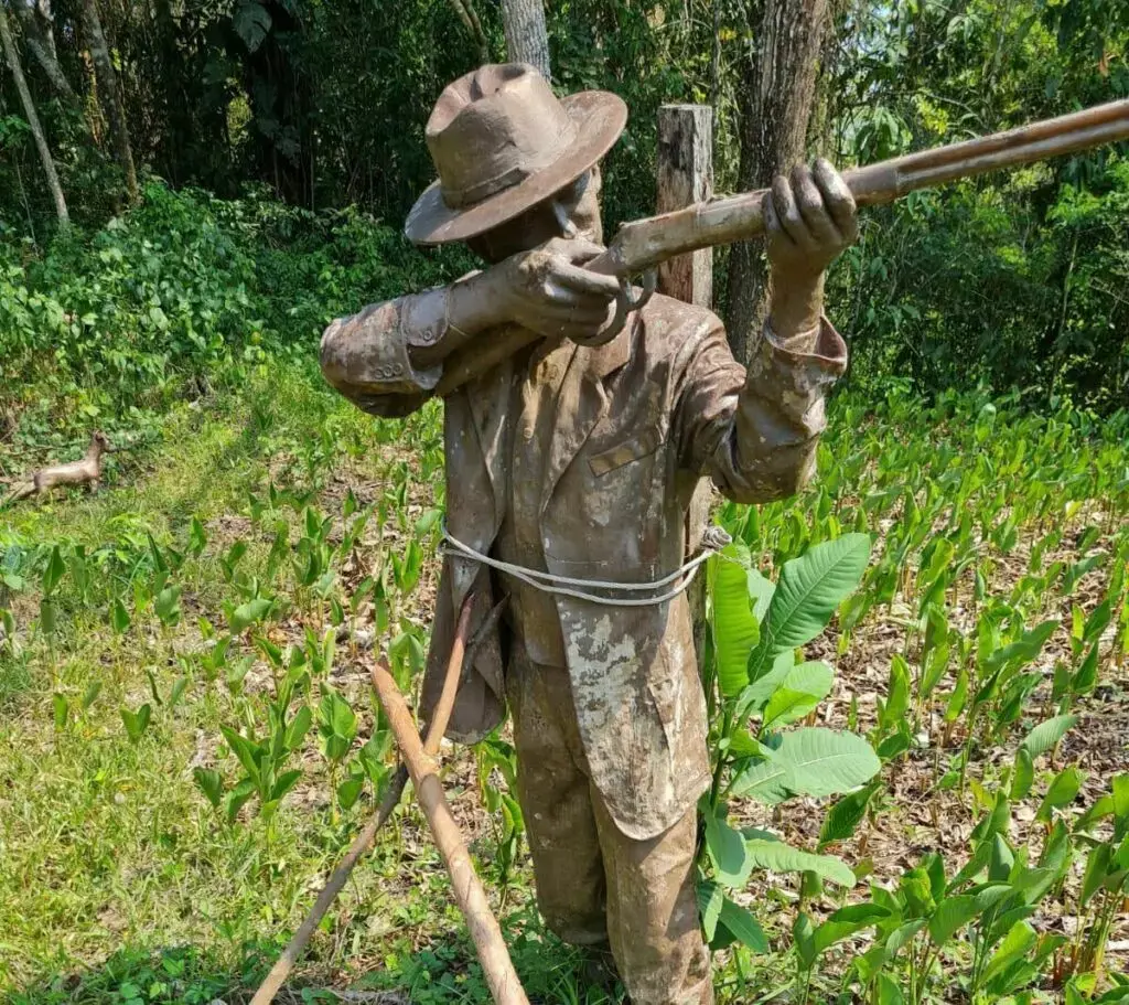 FEM planeja gastar até R$ 600 mil para recuperar espaço Plácido de Castro