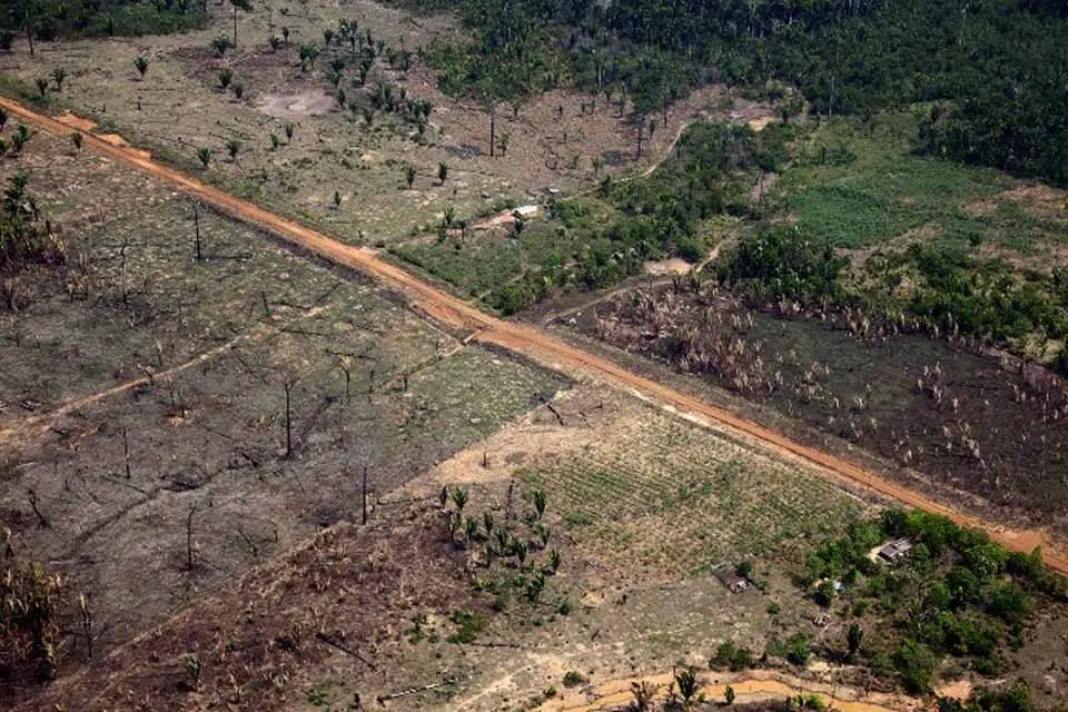 Investigação associa recorde de desmatamento em RO ao uso de máquinas adquiridas com emendas parlamentares