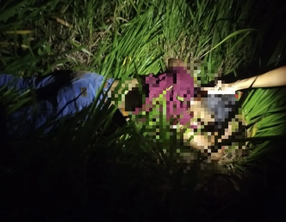 Jovem morre após colidir com boi na BR-364 em Cruzeiro do Sul