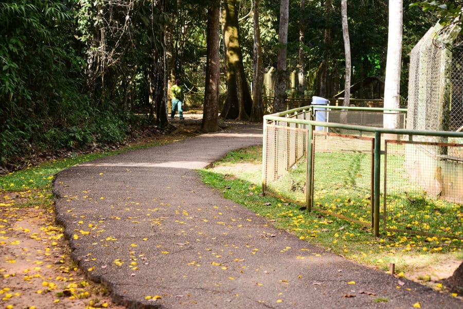 Parque Chico Mendes funcionará normalmente durante feriado prolongado