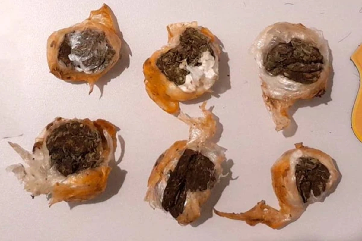 Mulheres são impedidas de entrar em presídio com drogas em marmita