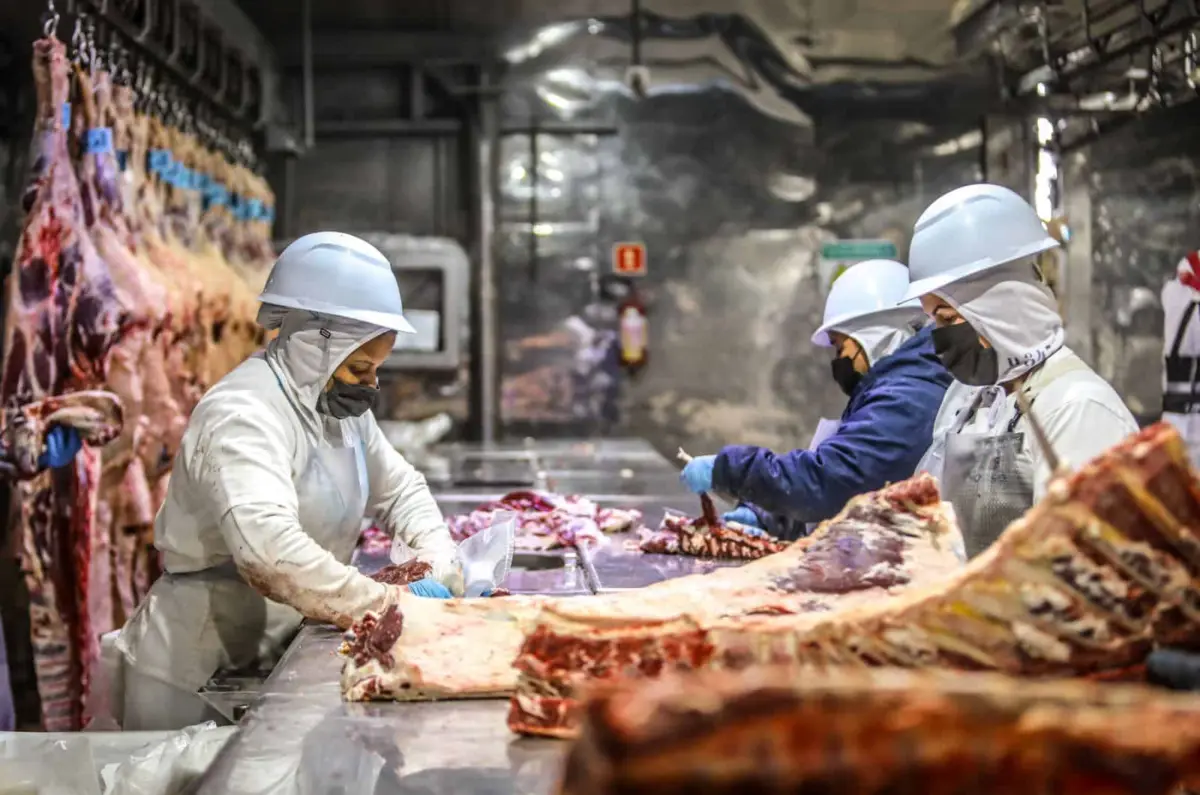 Peru, Emirados Árabes e Turquia concentram maior parte das exportações do Acre