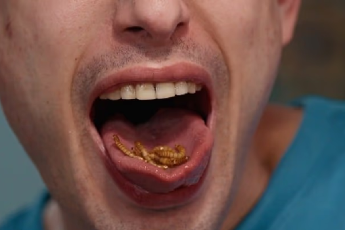 Viciado em comer insetos explica sensação: “Fica coçando a garganta”