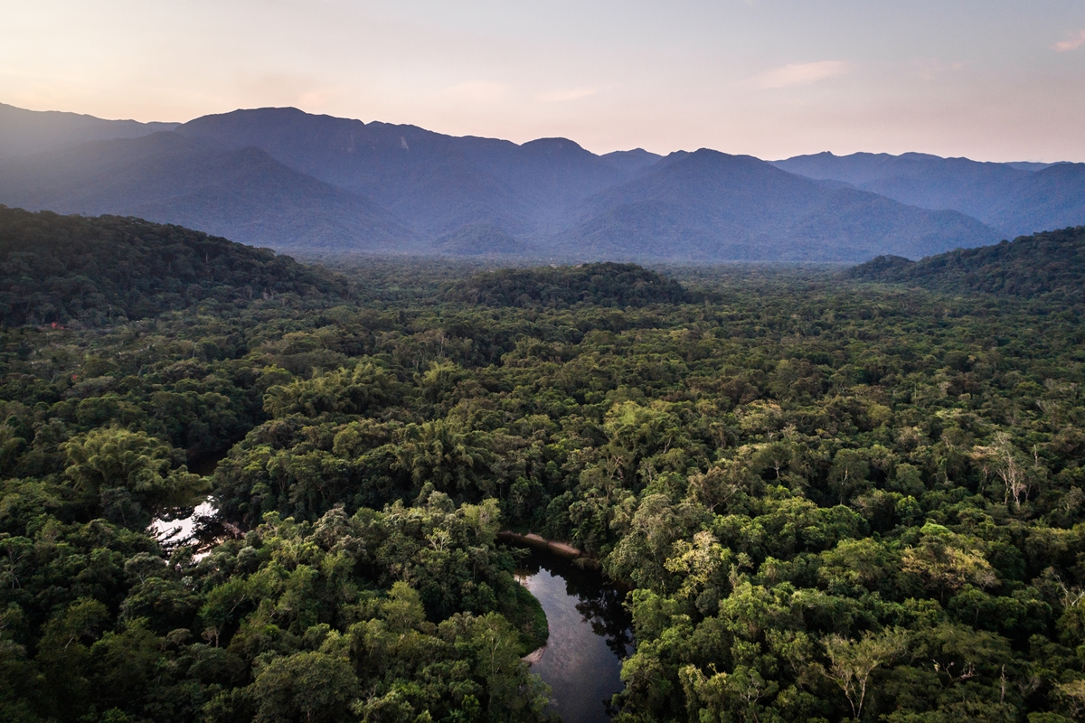 Conheça a "Suíça mineira", vilarejo com clima europeu no Brasil
