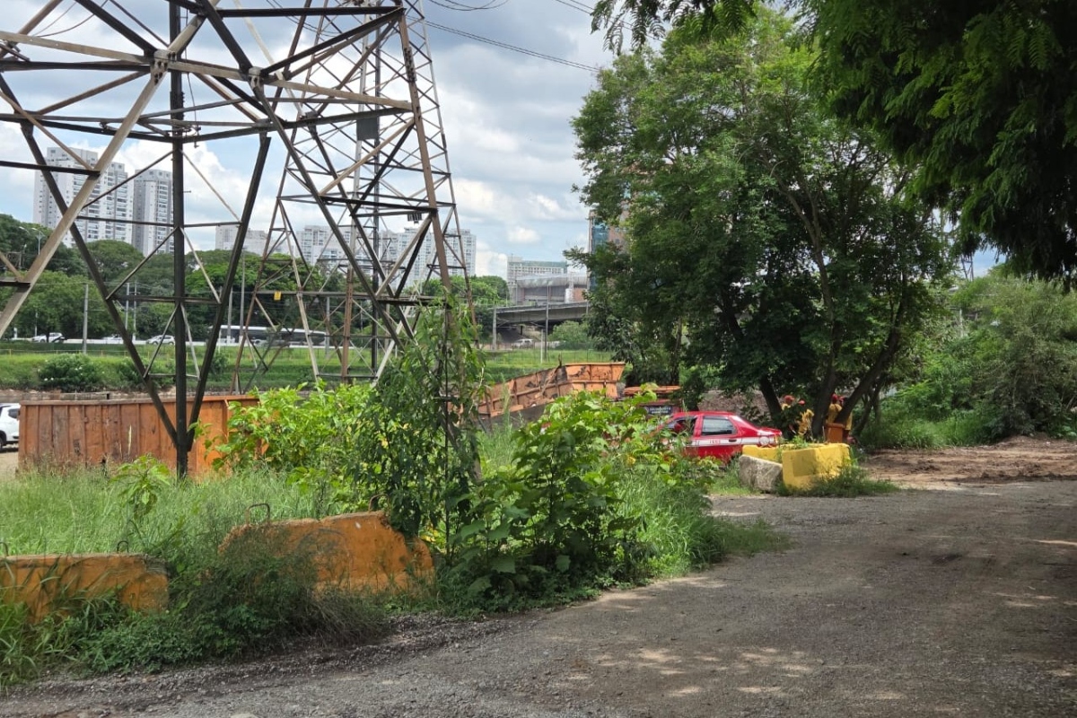 Corpo de mulher achado no Rio Pinheiros pode ser de vítima de enchente