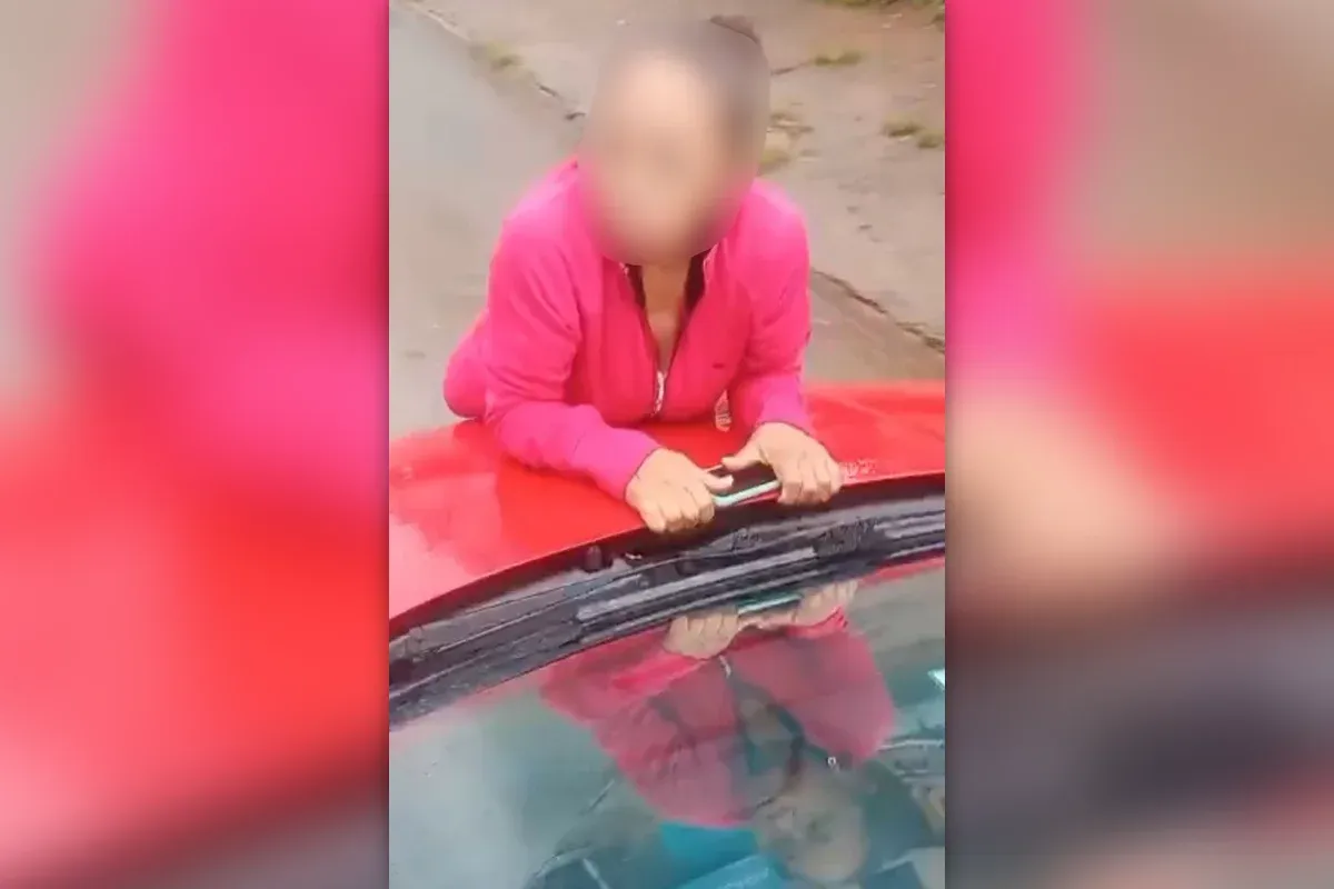 Cadela morre em clínica e tutoras se penduram em carro de veterinária, que dirige com idosa no capô. Veja vídeo