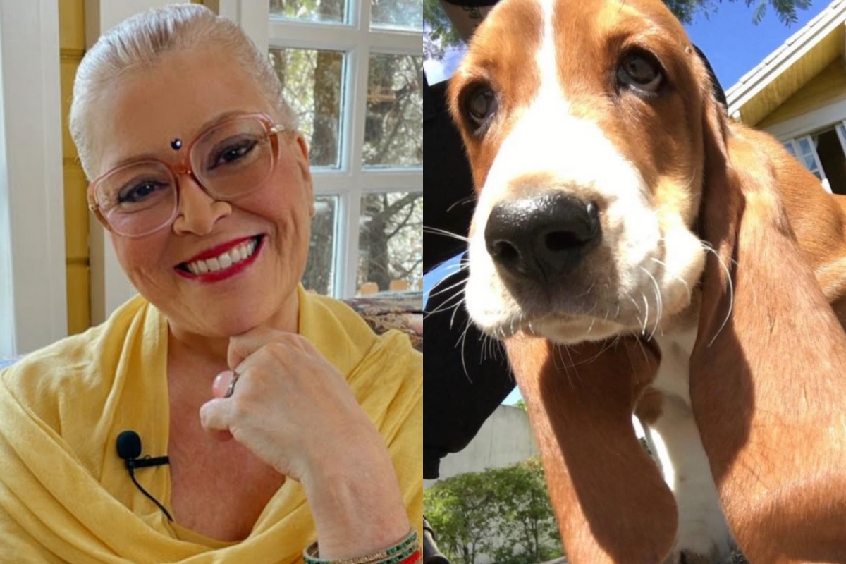 Após morte do cão Orelha, astróloga revela agressão a seu cachorro