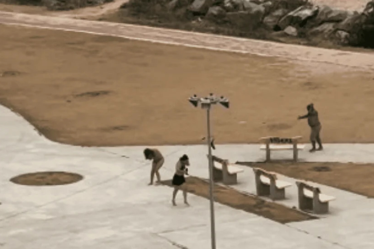 Ataque de abelhas assusta banhistas na praia dos Artistas, em Aracaju