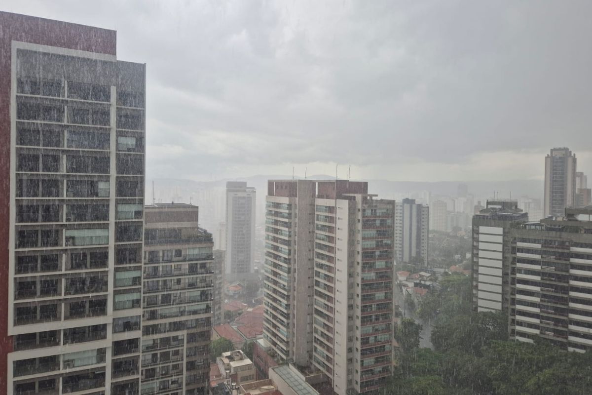 Guarda-chuva na bolsa: São Paulo terá tempo nublado e chuva nesta quinta