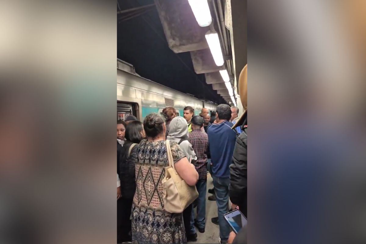 Queda de árvore: circulação de trens da Linha 8-Diamente sofre interrupção