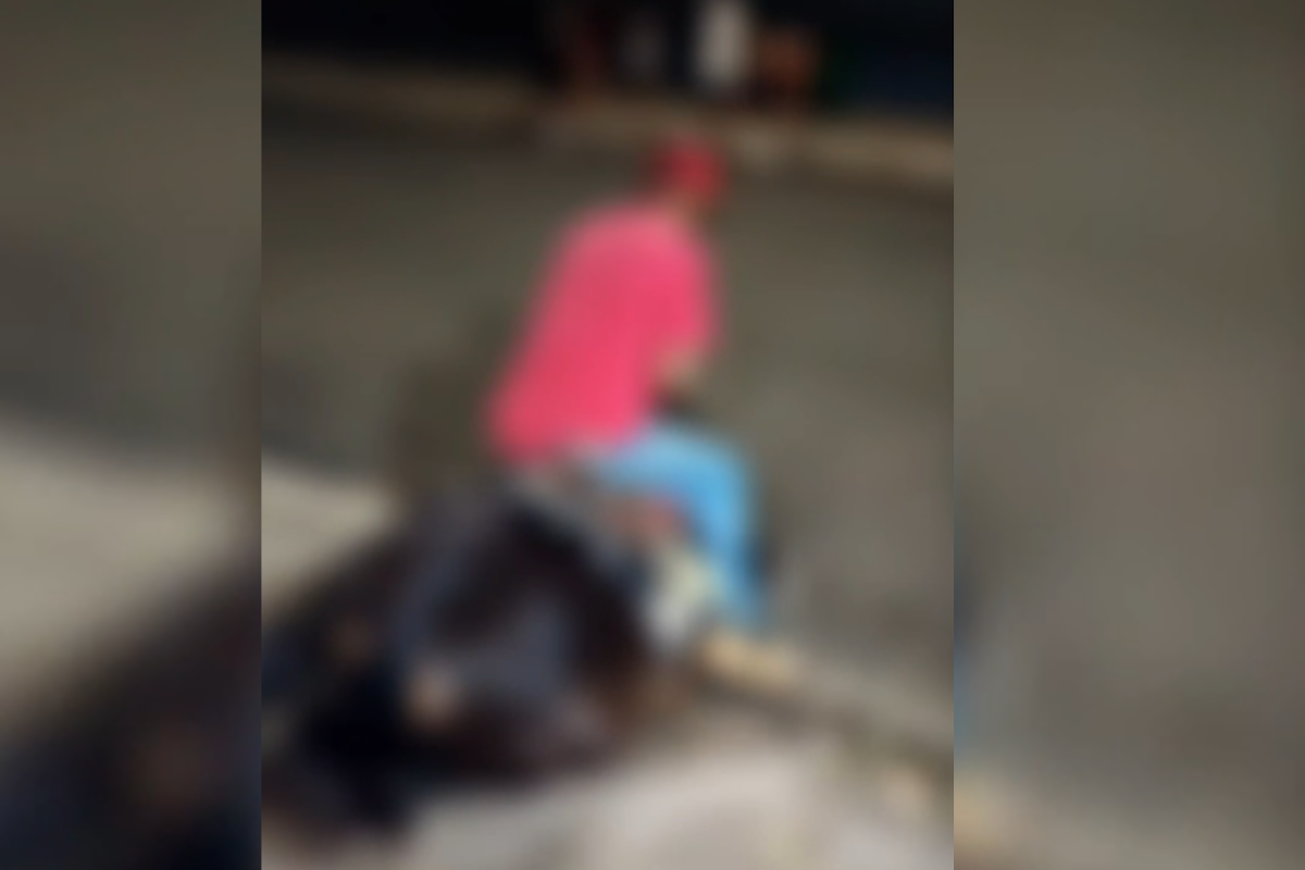 Cavalo cai de cansaço e polícia investiga suposto caso de maus-tratos. Veja vídeo