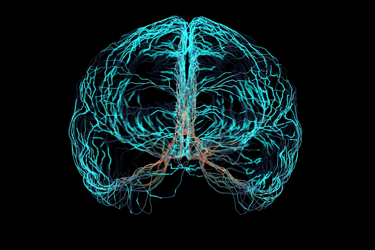 Prevenção da demência: saiba por que é importante começar antes dos 60