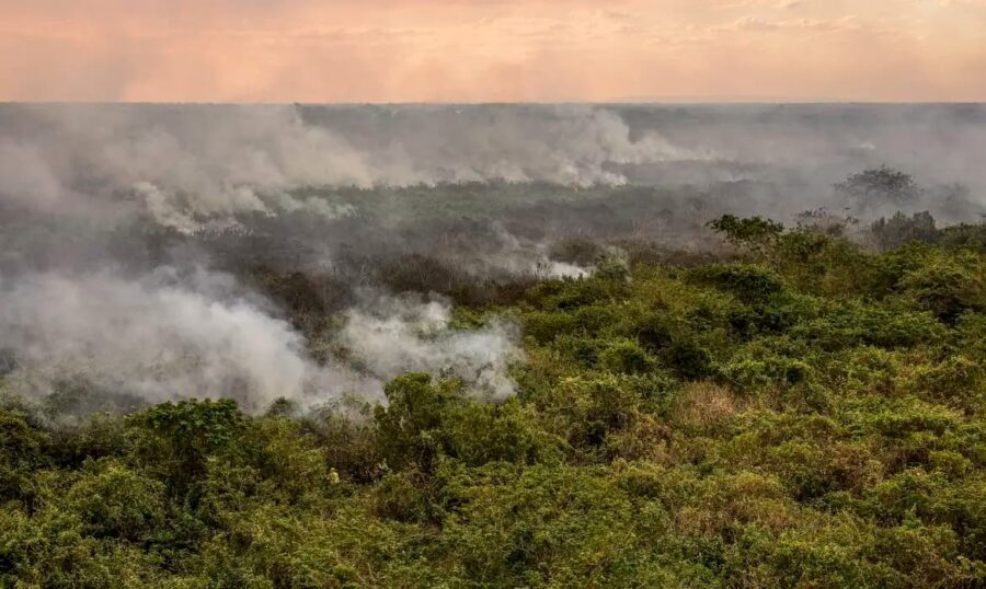 Chuvas mantêm risco de fogo entre mínimo e baixo em todo o Acre