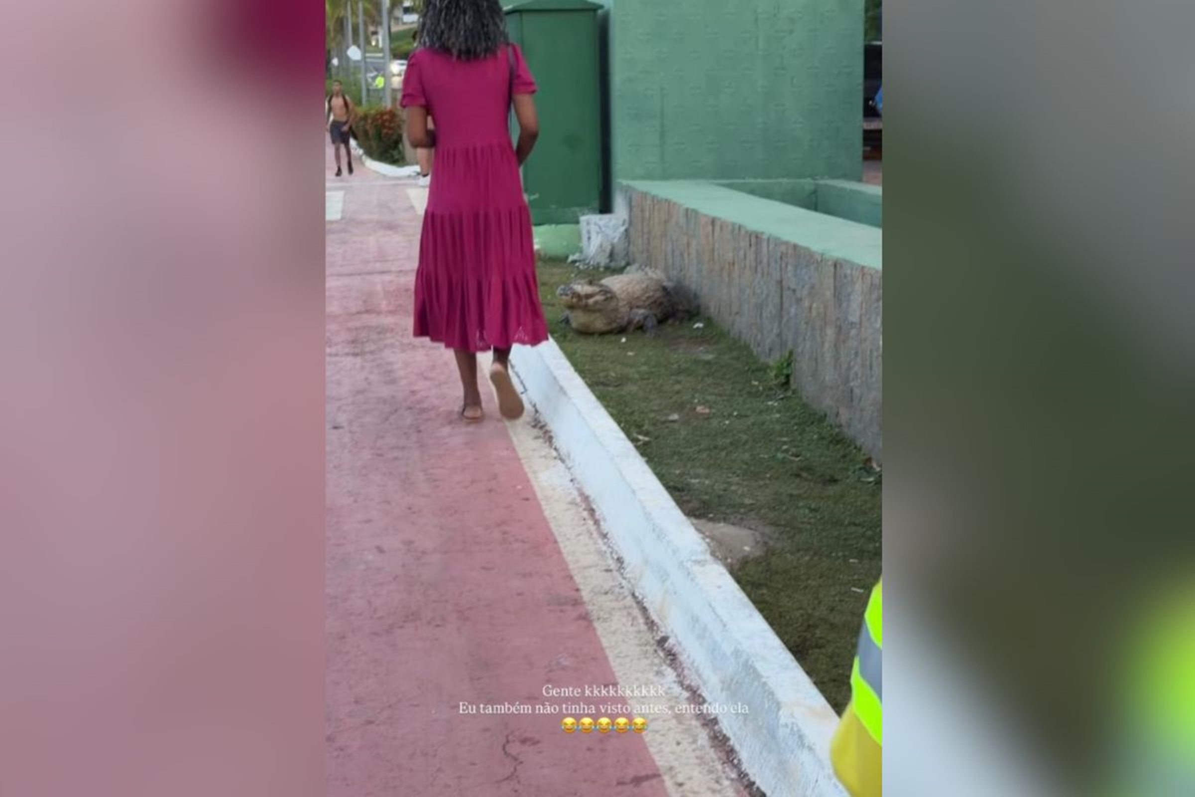 Que susto! Mulher quase esbarra em jacaré em área turística de Cuiabá