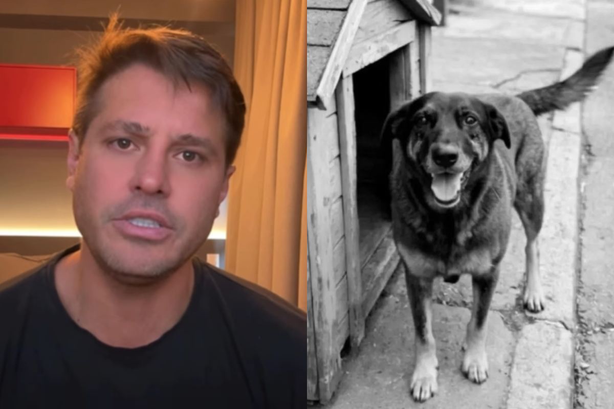 Caso Orelha: nervoso, Dado Dolabella diz que Justiça protege bandidos. Vídeo