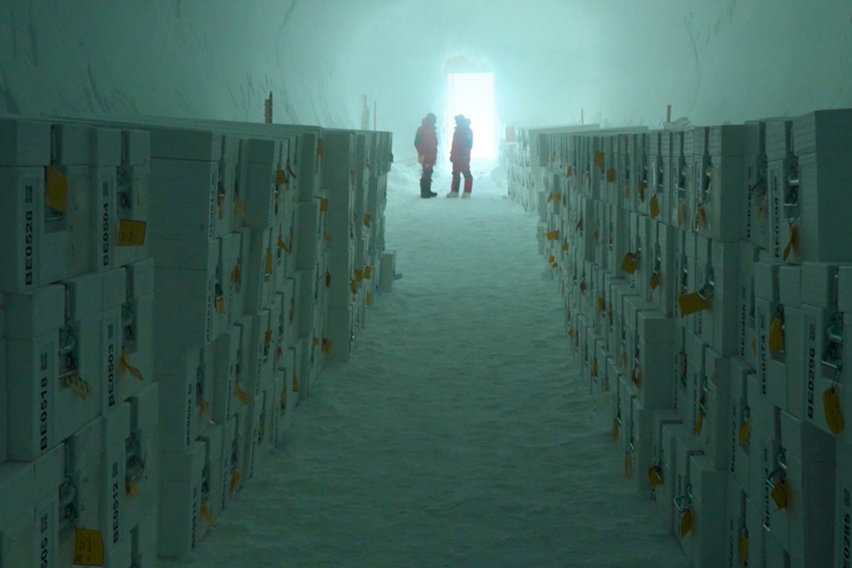 “Santuário” na Antártida guardará amostras de gelo para pesquisas