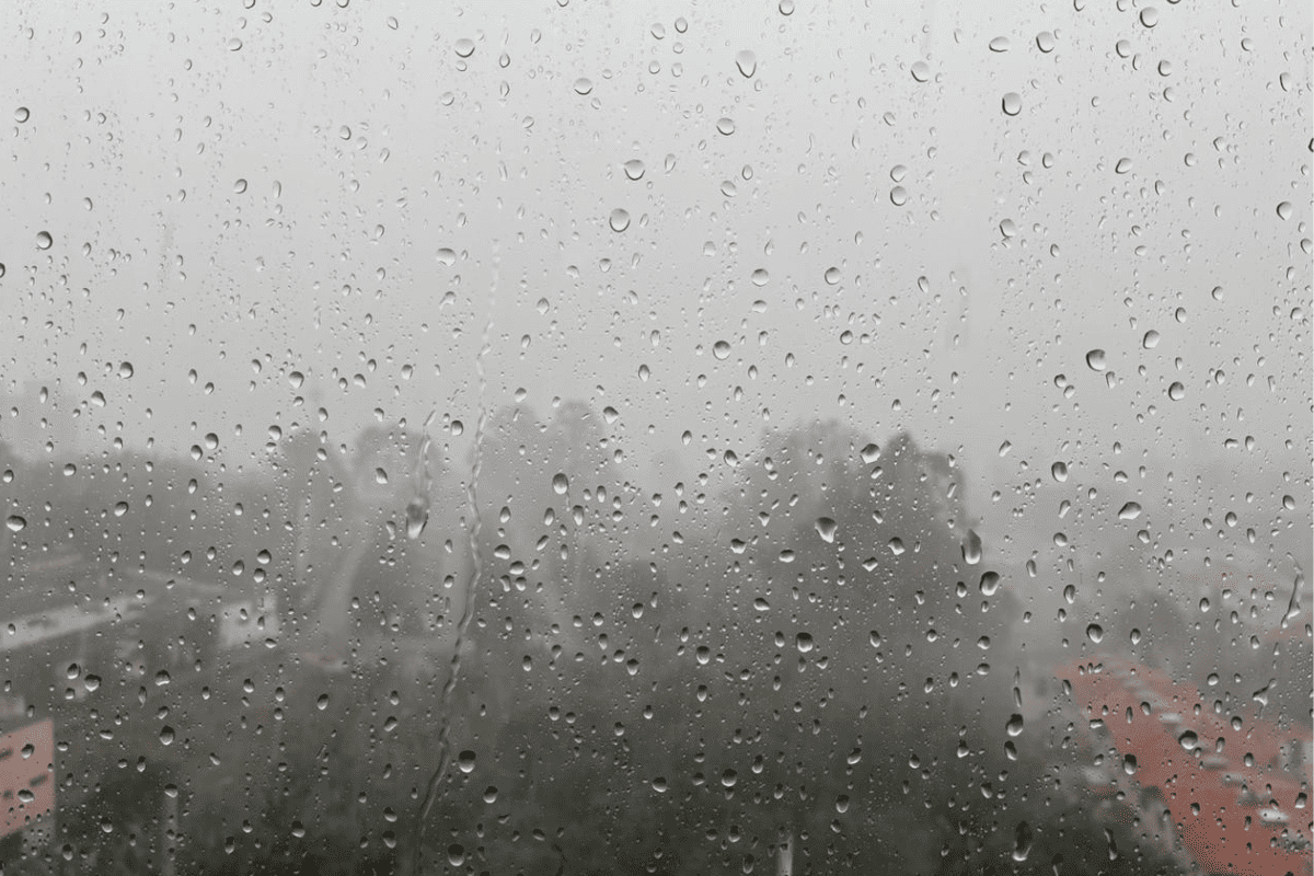 "Frio" em janeiro? A previsão do tempo para segunda (5/1) em SP